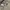 Roxy Vintage Casual Fleece Pria white black photo 3
