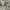 ASK Enquired Vintage Y2K Jumper Pria white black photo 4