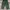 antibase baggy balloon long pants #APLP48 photo 3