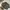 Realtree Camo Jacket Vintage