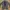 Vintage Indie Parka Pria green photo 2