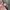 JAM TANK TONNEAU WOMAGE ROMAN INDEX JAPAN MOVT photo 3