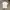 Tshirt Polo Moncler Original photo 6