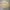 SPAO Unisex Crewneck Sweatshirt Seoul Vibes Yellow size XL photo 2