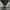Casual Fur coat Pria white gray photo 5