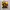 BO3RY  photo 2