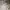 Made in USA Streetwear Luxury Hat Pria white photo 2