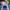 Air Jordan 1 low SE photo 6