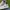 Air Jordan 1 low SE photo 3