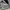 Neil Barrett Luxury Sweatshirt Pria gray photo 8