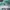 Adidas Adizero Evo SL Tosca White photo 6