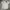 VON DUTCH WORKSHIRT 1668 GRAY photo 2