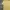 Hai Sporting Gear Vintage Avant Garde T-shirt Pria yellow photo 2