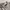 Zipper shirt Comme Ca Ism photo 4