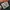 Nike airmax tailwind skepta photo 7