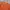 Nike Vintage Sportswear T-shirt Pria orange photo 3