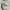 y2k Sukajan Sharaku Kanji photo 6