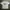 Vintage Y2K T-shirt Pria white photo 1