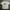 Vintage Y2K T-shirt Pria White