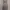 Luxury Evening dress Wanita brown photo 4