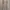 Luxury Evening dress Wanita gold photo 1