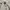 Tiger Raw Stripes Utility White Bomber Multi Pocket photo 6