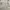 Tiger Raw Stripes Utility White Bomber Multi Pocket photo 5