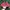Sportswear Casual Hat Kids red photo 5