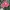 Sportswear Casual Hat Kids red photo 1