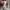 Dickies Casual Y2K Casual trouser Wanita red photo 7