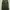 Japanese Superwide Cargo Pant