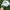 Casual Hat Pria white photo 1