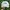Casual Hat Pria white photo 2