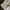 Burberry Casual Jeans Pria multicolor photo 5