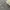 Streetwear Jeans Pria gray photo 5