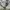 L.L.Bean Vintage Casual Hoody Pria gray photo 4