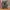 Adidas Casual Sneakers Pria multicolor photo 3