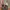 Adidas Casual Sneakers Pria multicolor photo 4