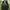 Dark Green Ruffled Fairy Tail Dress 