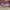 Y2K Casual Midi dress Wanita purple photo 3