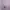 Kemeja Polo Ralph Lauren  photo 4