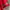 Nike Streetwear Sportswear Jersey Pria red photo 5