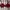 Oysho Luxury Minimalist Bra Wanita red photo 6