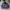 Vintage Luxury Harrington Jacket Pria Navy
