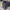 Vintage Luxury Harrington jacket Pria navy photo 2