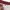 Streetwear Y2K Windbreaker Pria burgundy photo 7