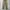 Gramicci Streetwear Y2K Formal pants Pria tan photo 2
