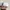 47 Brand Sportswear Minimalist Hat Pria multicolor photo 3