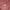 Uniqlo Y2K Coquette Crop Top Wanita Burgundy