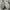 Nike Streetwear Sportswear Sneakers Wanita white black photo 7